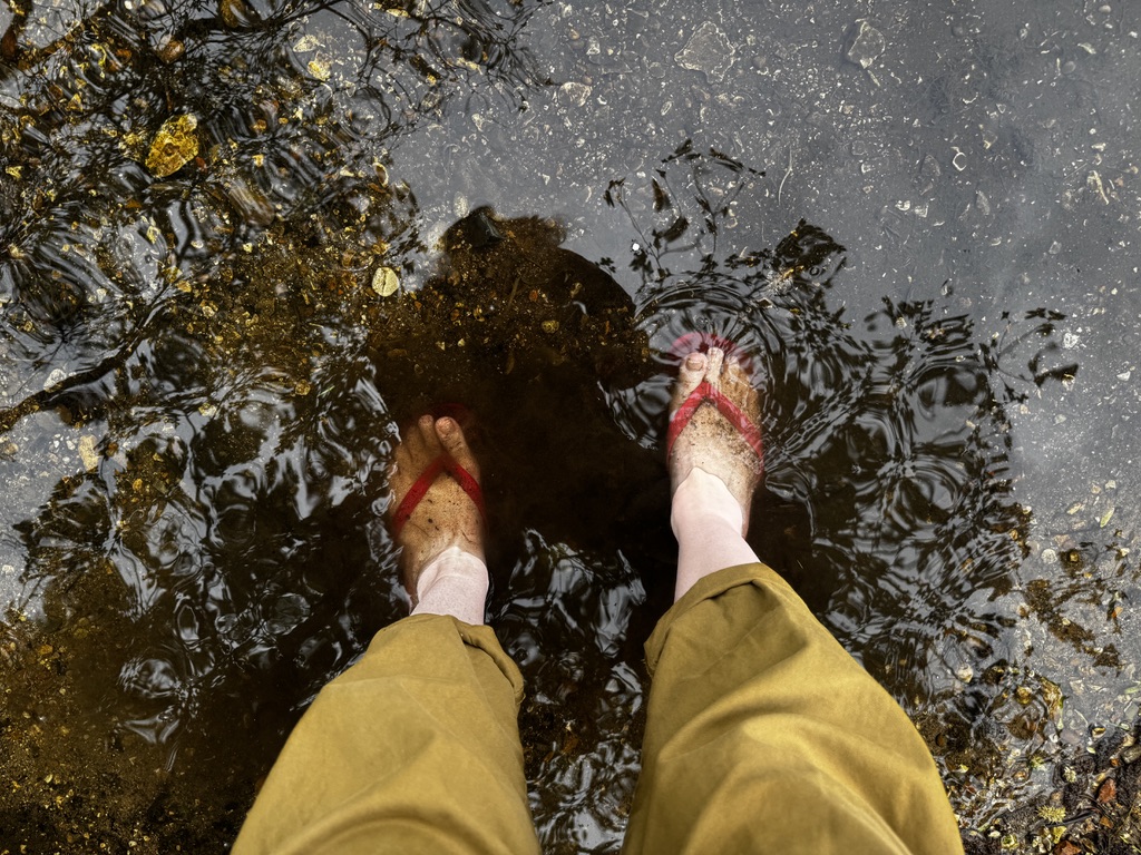 feet in red flip flops in a clear shallow body of water